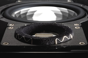 ELAC JET DC (Dispersion Control) ring